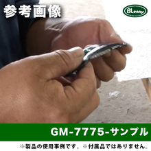 画像をギャラリービューアに読み込む, GM-7775