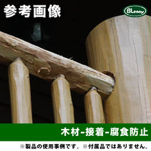 画像をギャラリービューアに読み込む, GM-2100 白パテ