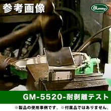 画像をギャラリービューアに読み込む, GM-5520