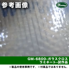 画像をギャラリービューアに読み込む, GM-6800