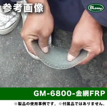 画像をギャラリービューアに読み込む, GM-6800