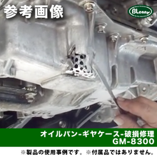 画像をギャラリービューアに読み込む, GM-8300