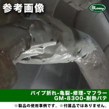 画像をギャラリービューアに読み込む, GM-8300